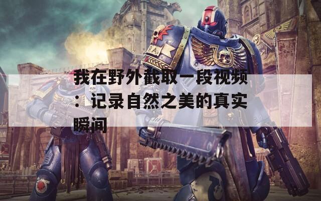 我在野外截取一段視頻：記錄自然之美的真實(shí)瞬間