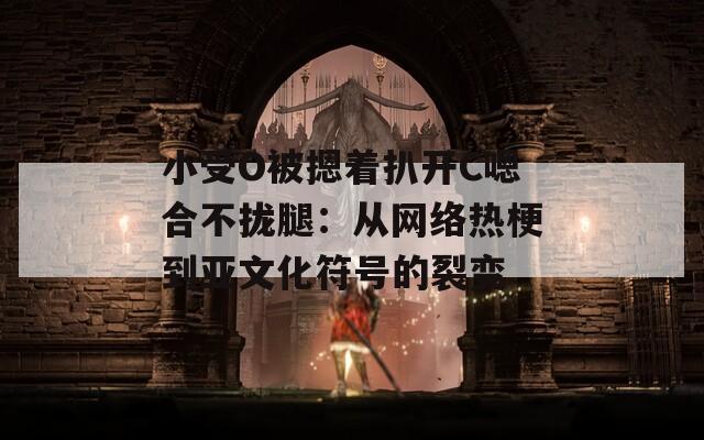 小受O被摁著扒開C嗯合不攏腿：從網(wǎng)絡熱梗到亞文化符號的裂變
